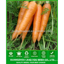 JCA02 forma uniforme de cinco polegadas sementes de cenoura, preço de sementes de cenoura